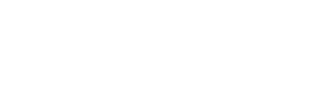 Logo_Human_Solutions_White